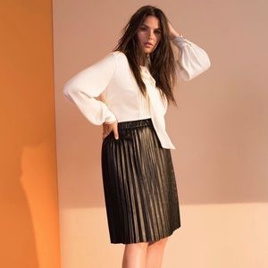 Faux Leather Pleated Skirt